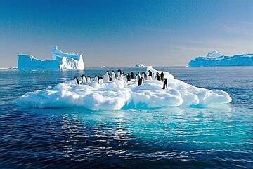 Public Photo of Silvi60