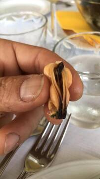 Public Photo of Mash_